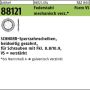 SCHNORR-Sperrzahnsch. Federstahl VS 5 mech.verz.mech Zn VE=1000St