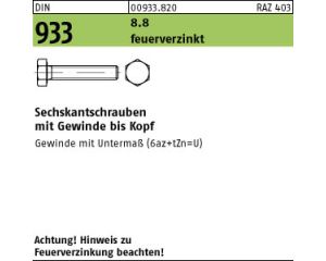 A1133000.JPG